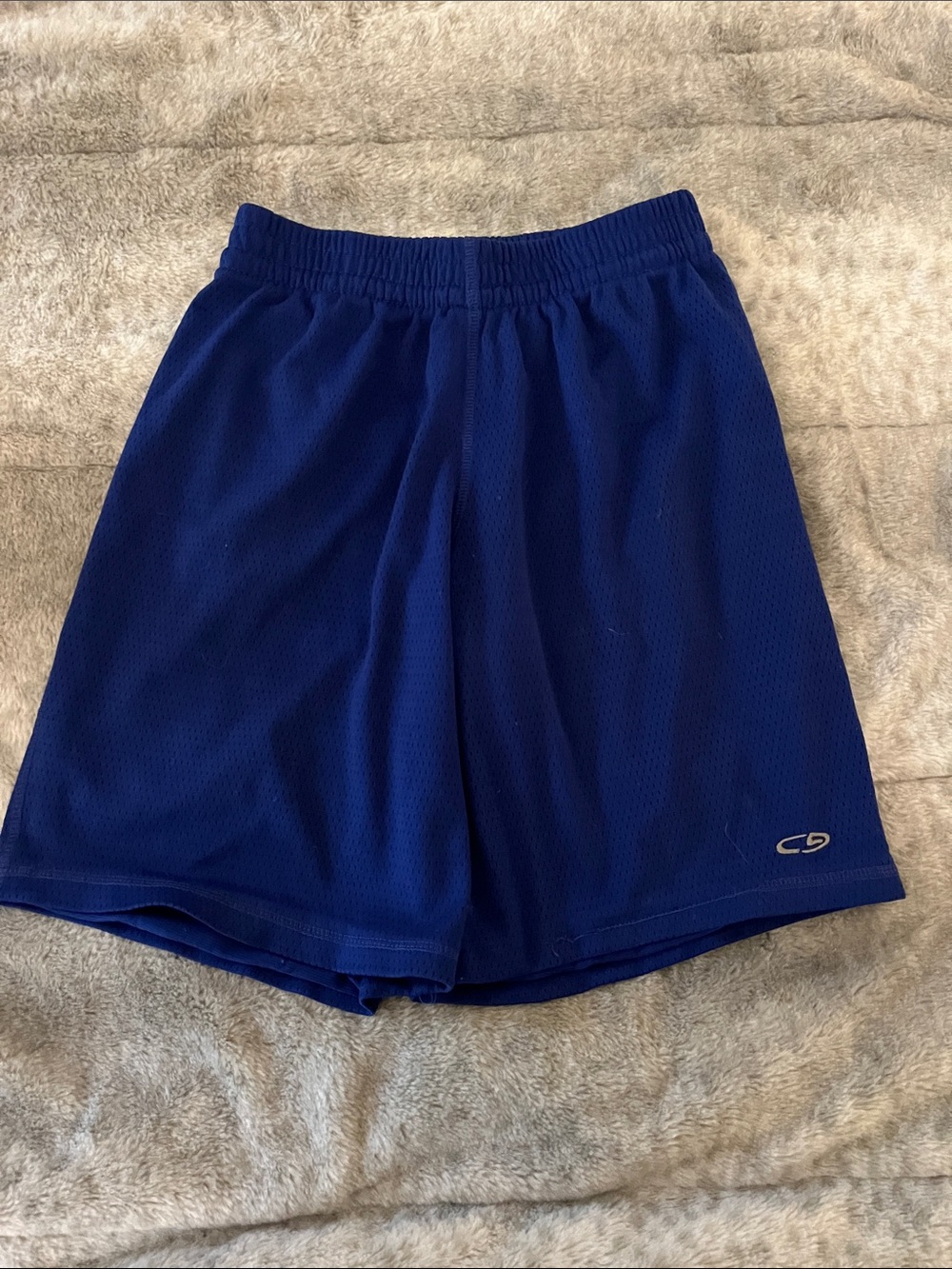 Champion mesh Athletic Shorts in Royal Blue